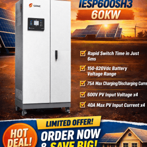 60kw SRNE inverter