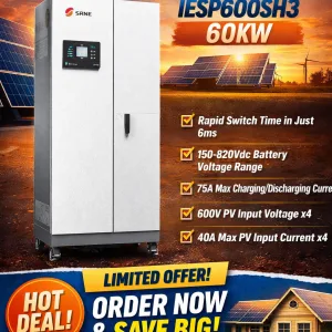 60kw SRNE inverter